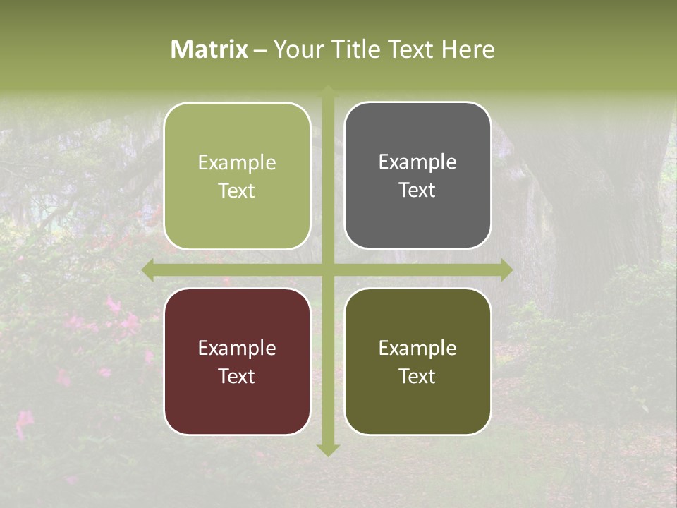 Spring Landscape Scene In Woods Of Charleston, South Carolina PowerPoint Template