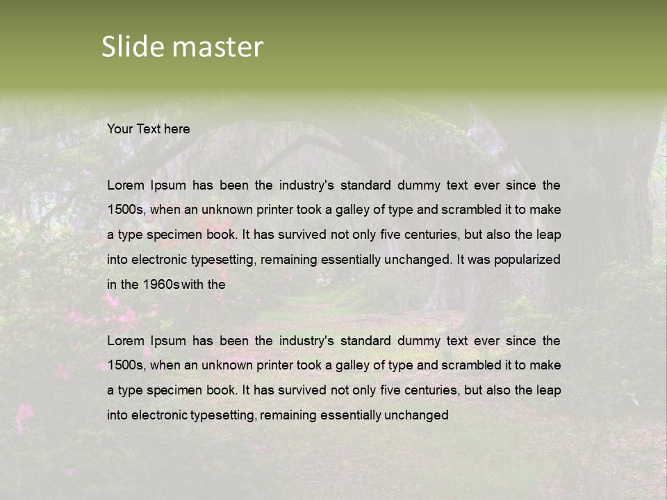 Spring Landscape Scene In Woods Of Charleston, South Carolina PowerPoint Template