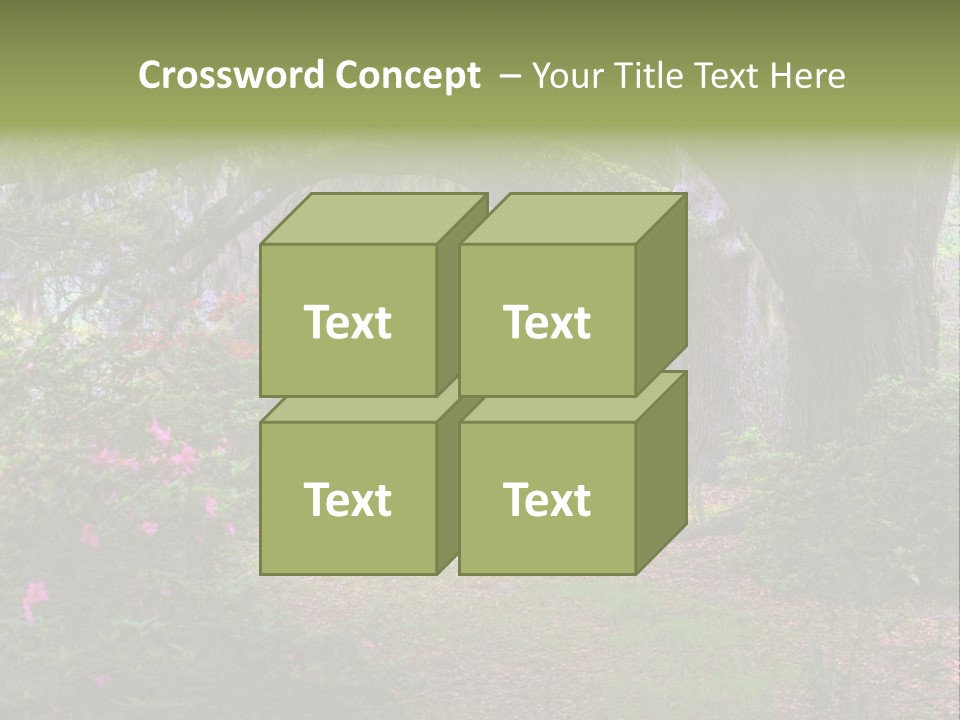 Spring Landscape Scene In Woods Of Charleston, South Carolina PowerPoint Template