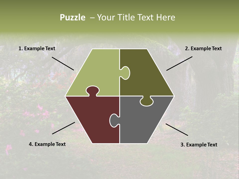 Spring Landscape Scene In Woods Of Charleston, South Carolina PowerPoint Template