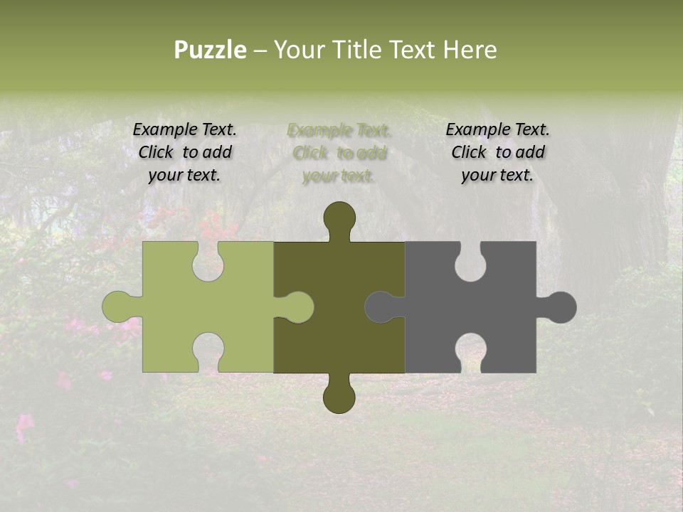 Spring Landscape Scene In Woods Of Charleston, South Carolina PowerPoint Template