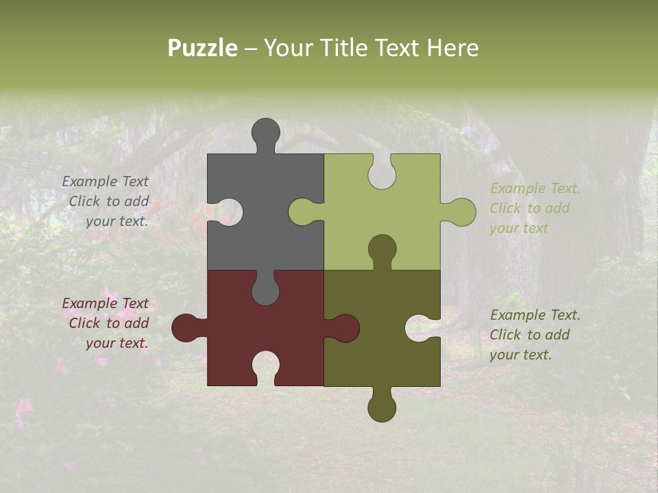 Spring Landscape Scene In Woods Of Charleston, South Carolina PowerPoint Template