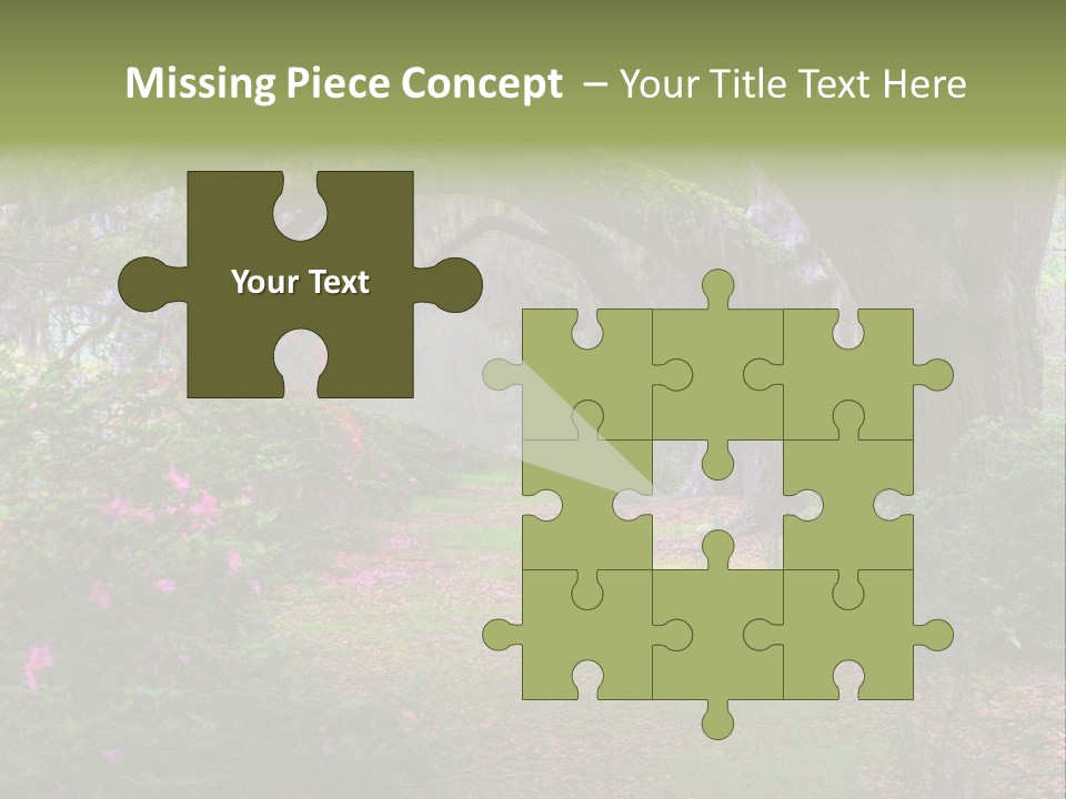 Spring Landscape Scene In Woods Of Charleston, South Carolina PowerPoint Template