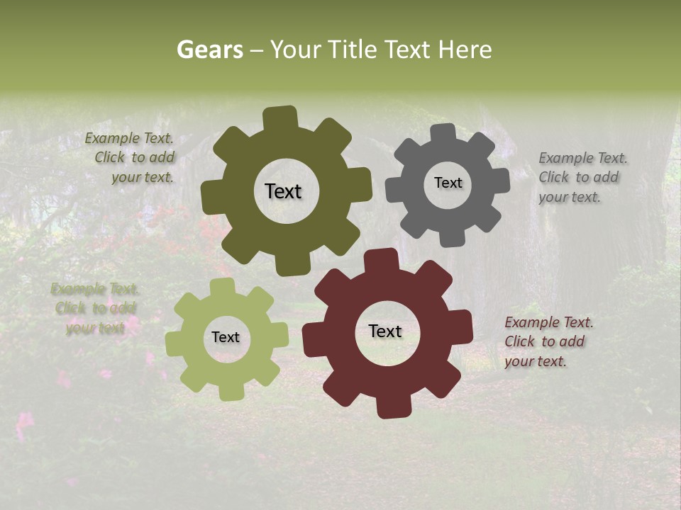 Spring Landscape Scene In Woods Of Charleston, South Carolina PowerPoint Template