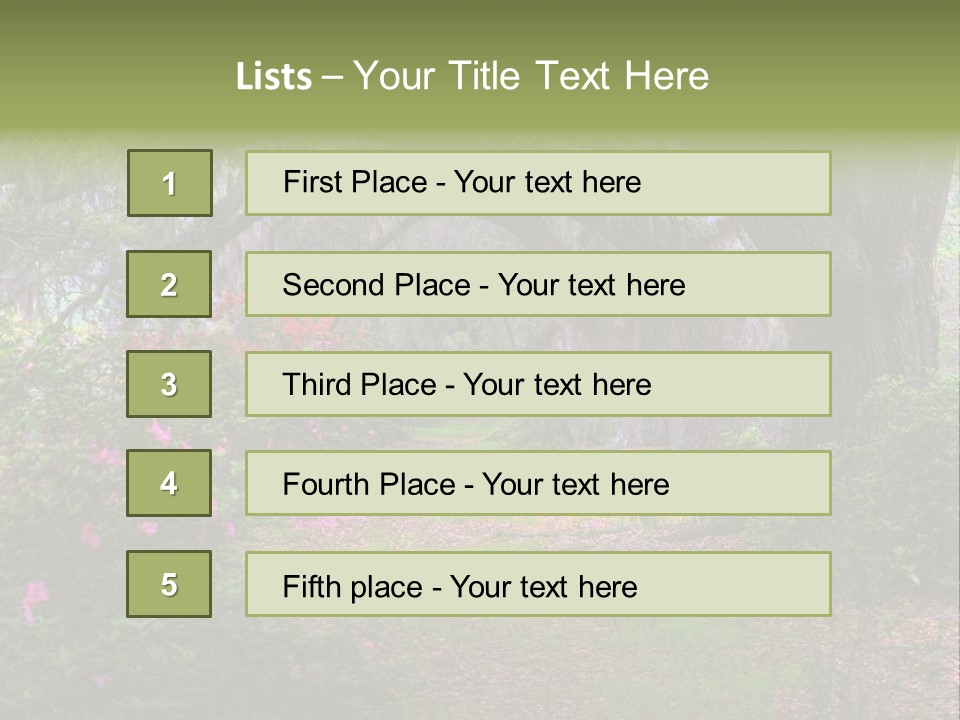 Spring Landscape Scene In Woods Of Charleston, South Carolina PowerPoint Template