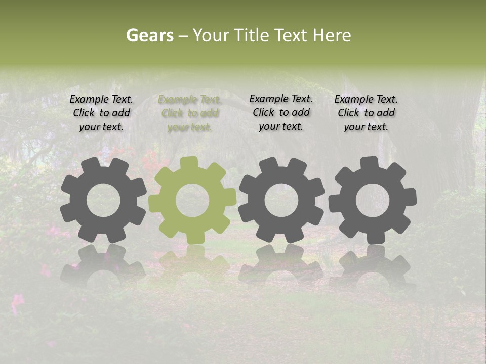 Spring Landscape Scene In Woods Of Charleston, South Carolina PowerPoint Template