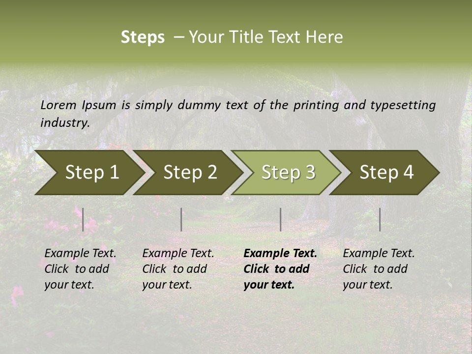 Spring Landscape Scene In Woods Of Charleston, South Carolina PowerPoint Template