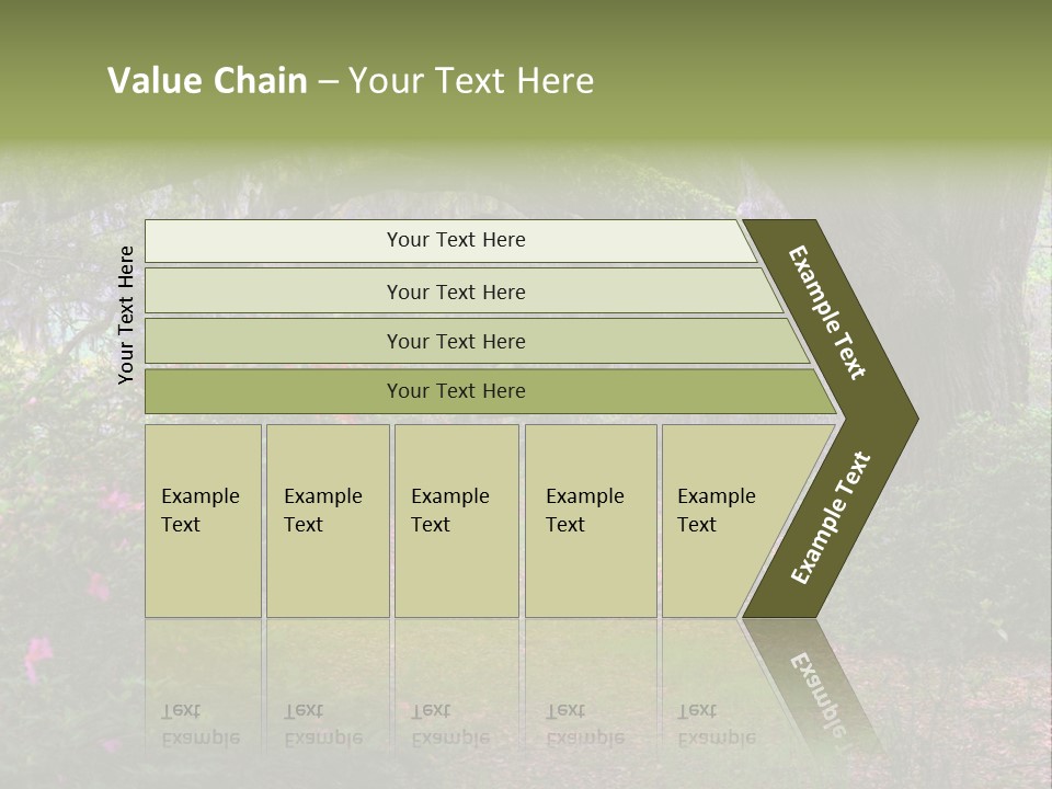 Spring Landscape Scene In Woods Of Charleston, South Carolina PowerPoint Template
