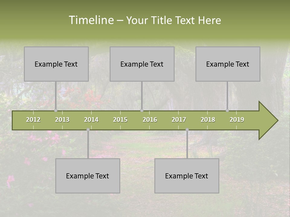 Spring Landscape Scene In Woods Of Charleston, South Carolina PowerPoint Template