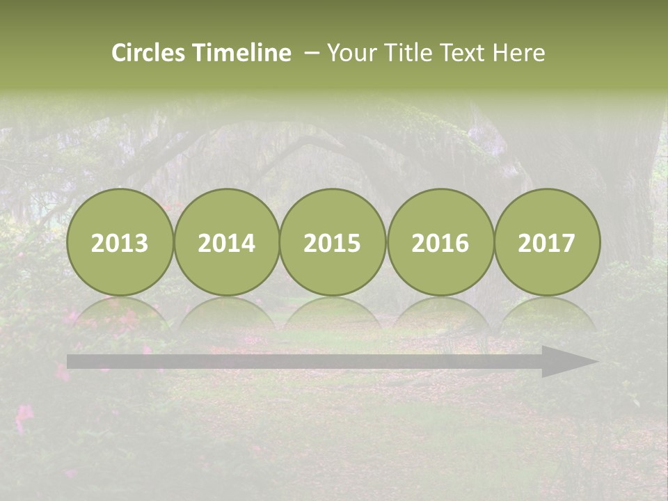 Spring Landscape Scene In Woods Of Charleston, South Carolina PowerPoint Template