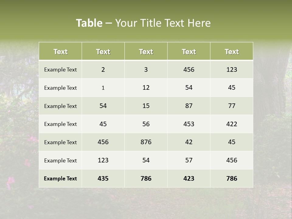 Spring Landscape Scene In Woods Of Charleston, South Carolina PowerPoint Template