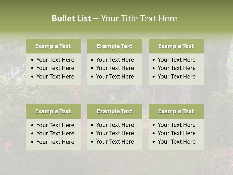 Spring Landscape Scene In Woods Of Charleston, South Carolina PowerPoint Template