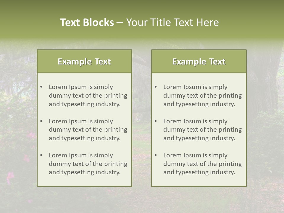 Spring Landscape Scene In Woods Of Charleston, South Carolina PowerPoint Template