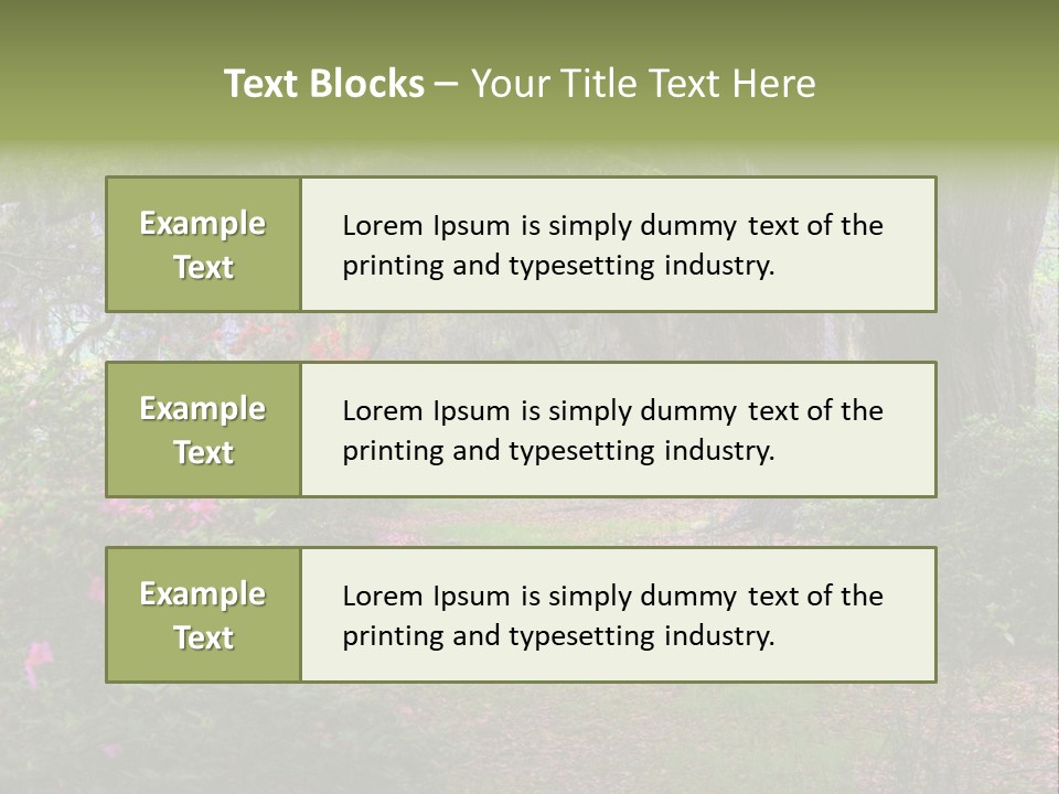 Spring Landscape Scene In Woods Of Charleston, South Carolina PowerPoint Template