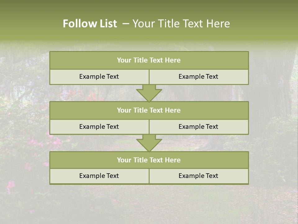 Spring Landscape Scene In Woods Of Charleston, South Carolina PowerPoint Template