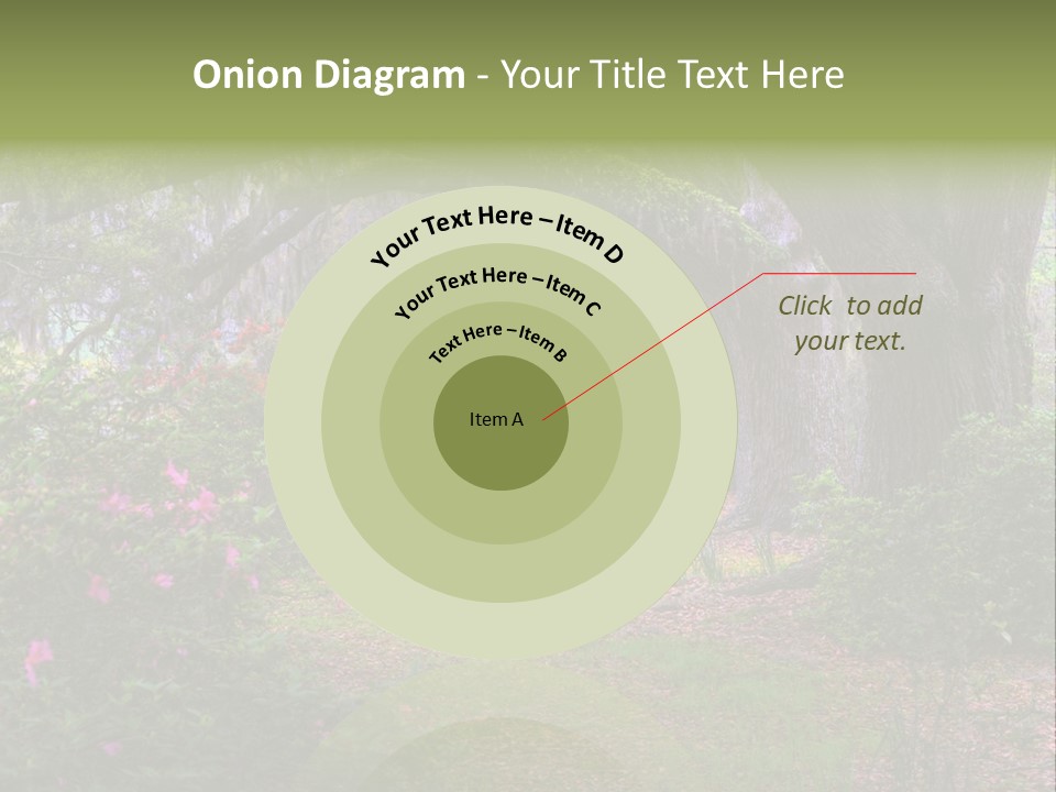 Spring Landscape Scene In Woods Of Charleston, South Carolina PowerPoint Template