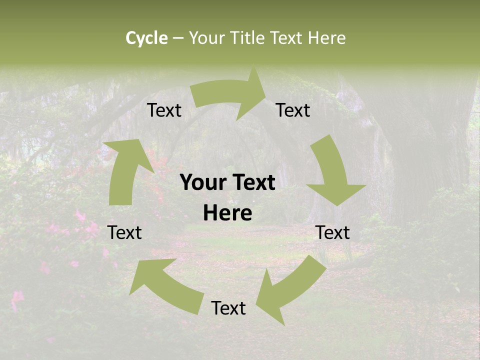 Spring Landscape Scene In Woods Of Charleston, South Carolina PowerPoint Template