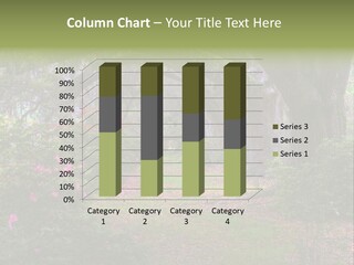 Spring Landscape Scene In Woods Of Charleston, South Carolina PowerPoint Template