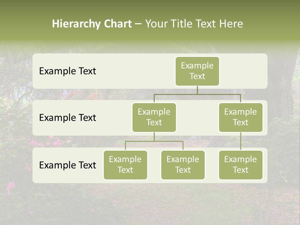 Spring Landscape Scene In Woods Of Charleston, South Carolina PowerPoint Template