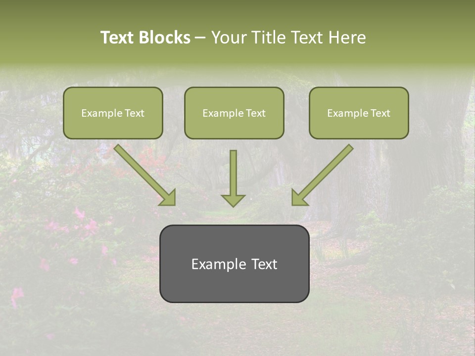 Spring Landscape Scene In Woods Of Charleston, South Carolina PowerPoint Template