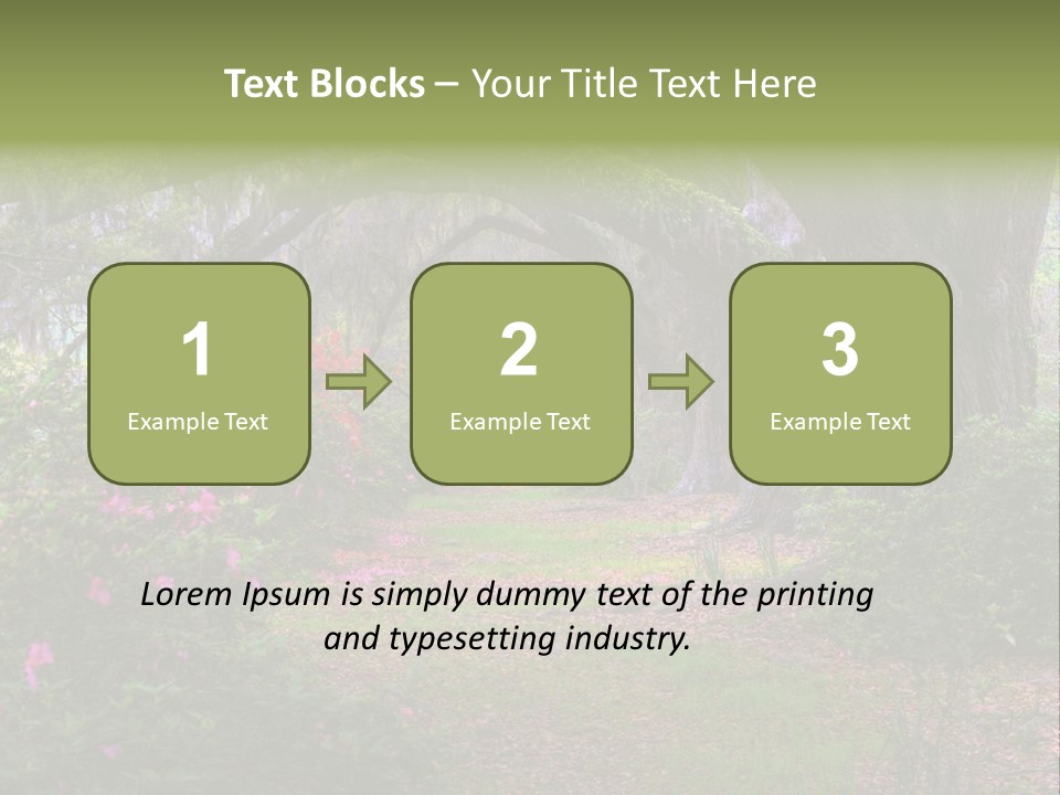 Spring Landscape Scene In Woods Of Charleston, South Carolina PowerPoint Template
