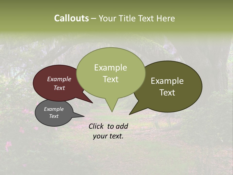 Spring Landscape Scene In Woods Of Charleston, South Carolina PowerPoint Template