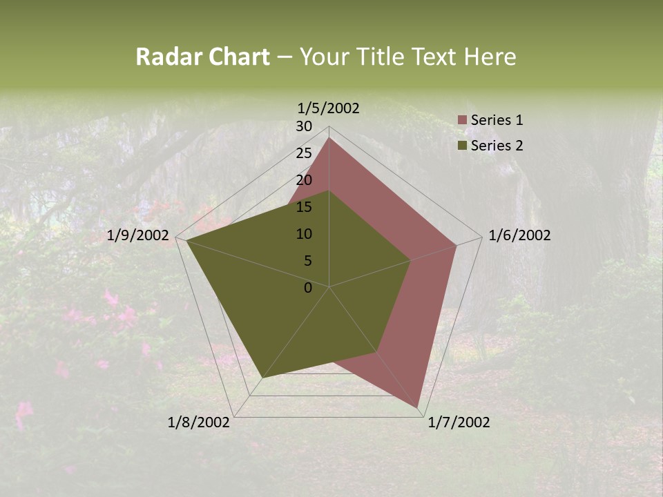 Spring Landscape Scene In Woods Of Charleston, South Carolina PowerPoint Template