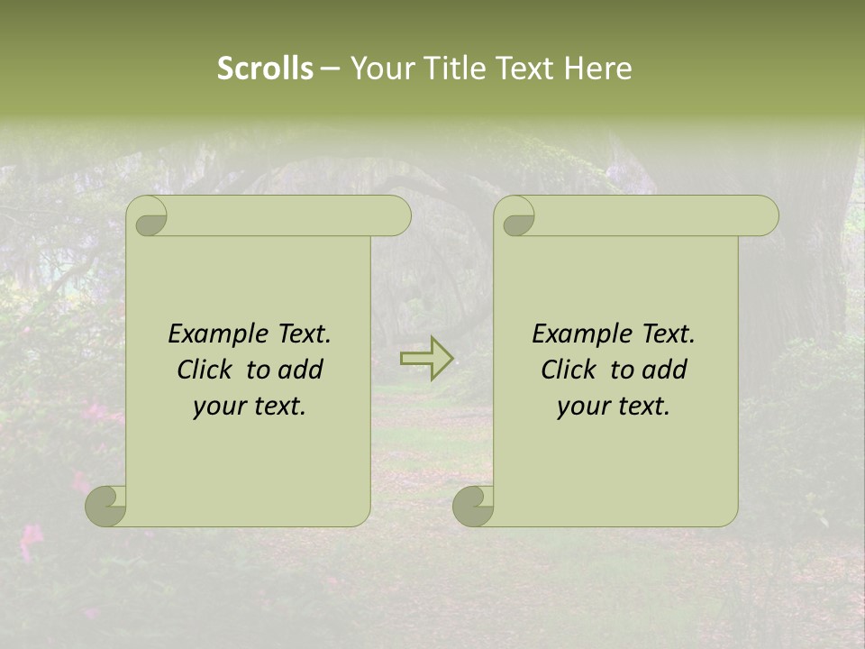 Spring Landscape Scene In Woods Of Charleston, South Carolina PowerPoint Template
