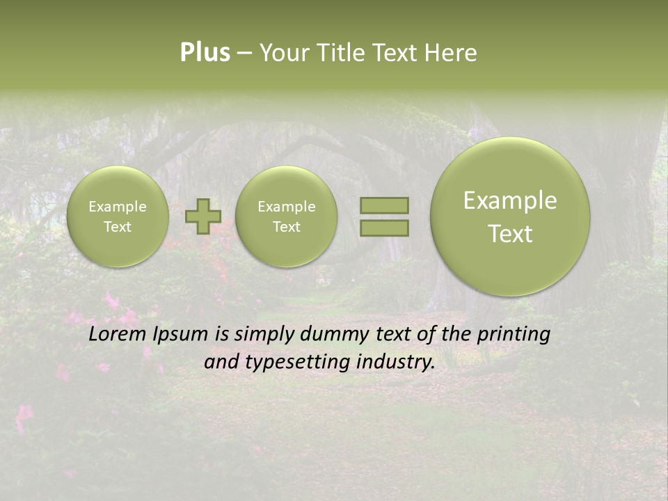 Spring Landscape Scene In Woods Of Charleston, South Carolina PowerPoint Template