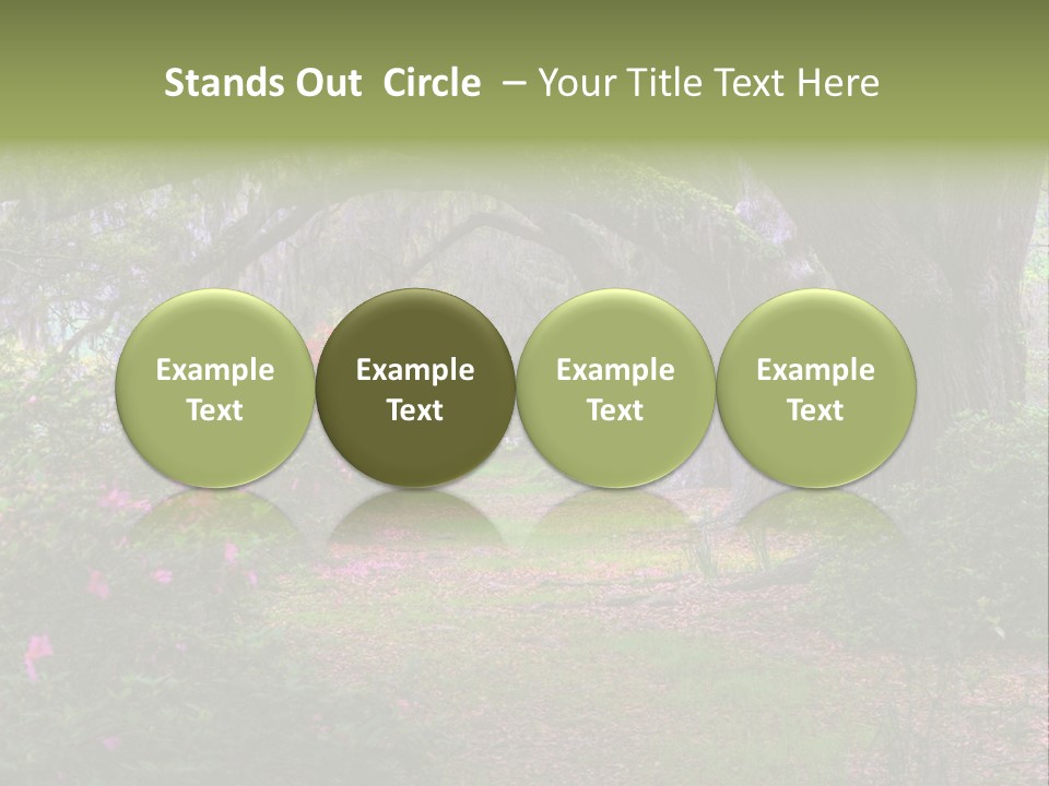 Spring Landscape Scene In Woods Of Charleston, South Carolina PowerPoint Template