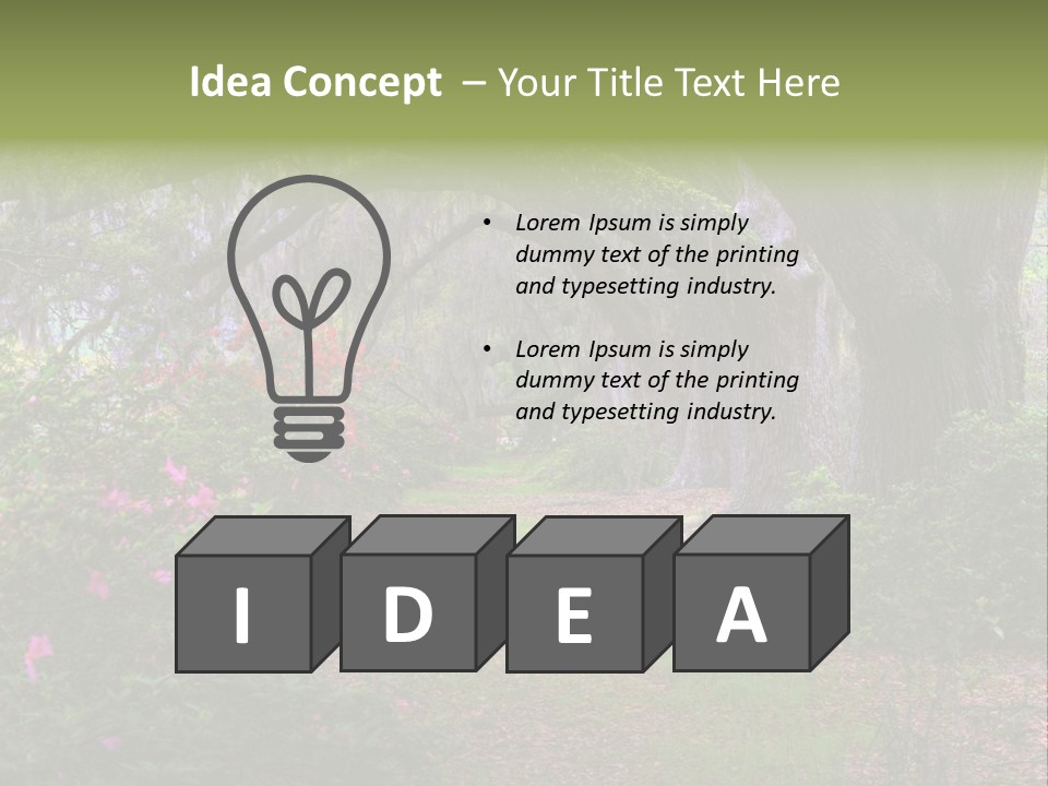 Spring Landscape Scene In Woods Of Charleston, South Carolina PowerPoint Template