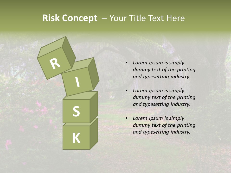 Spring Landscape Scene In Woods Of Charleston, South Carolina PowerPoint Template