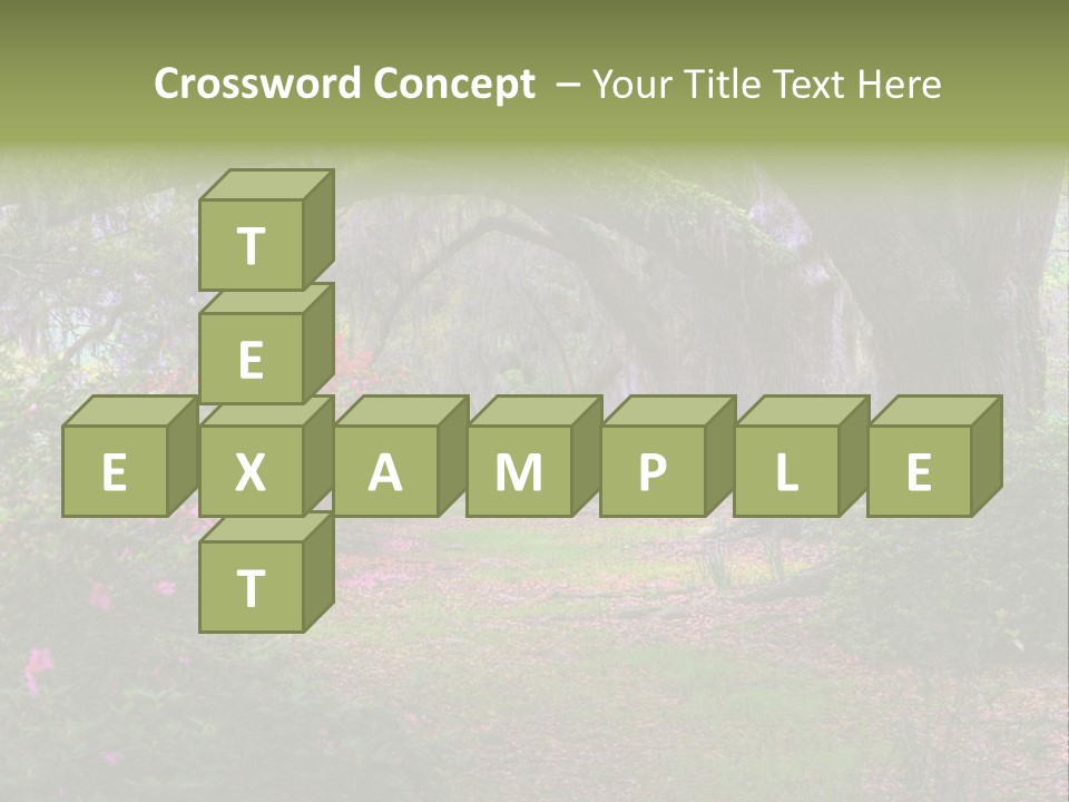 Spring Landscape Scene In Woods Of Charleston, South Carolina PowerPoint Template