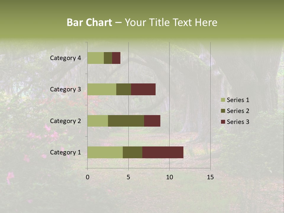 Spring Landscape Scene In Woods Of Charleston, South Carolina PowerPoint Template
