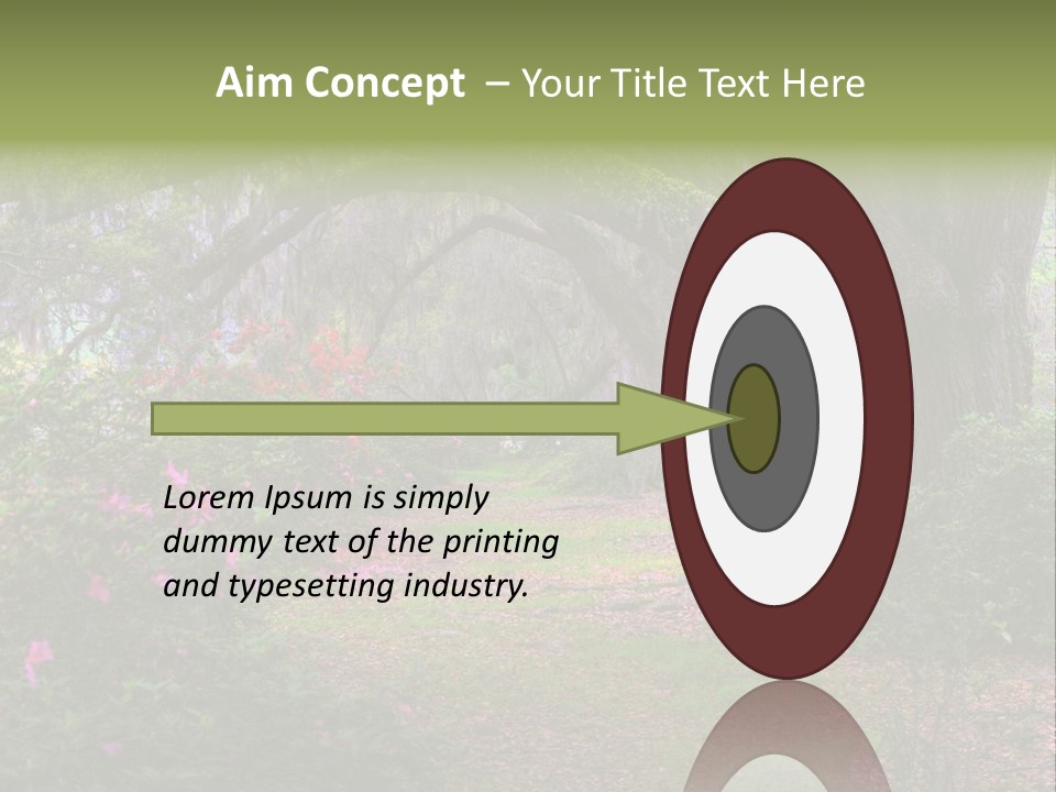 Spring Landscape Scene In Woods Of Charleston, South Carolina PowerPoint Template