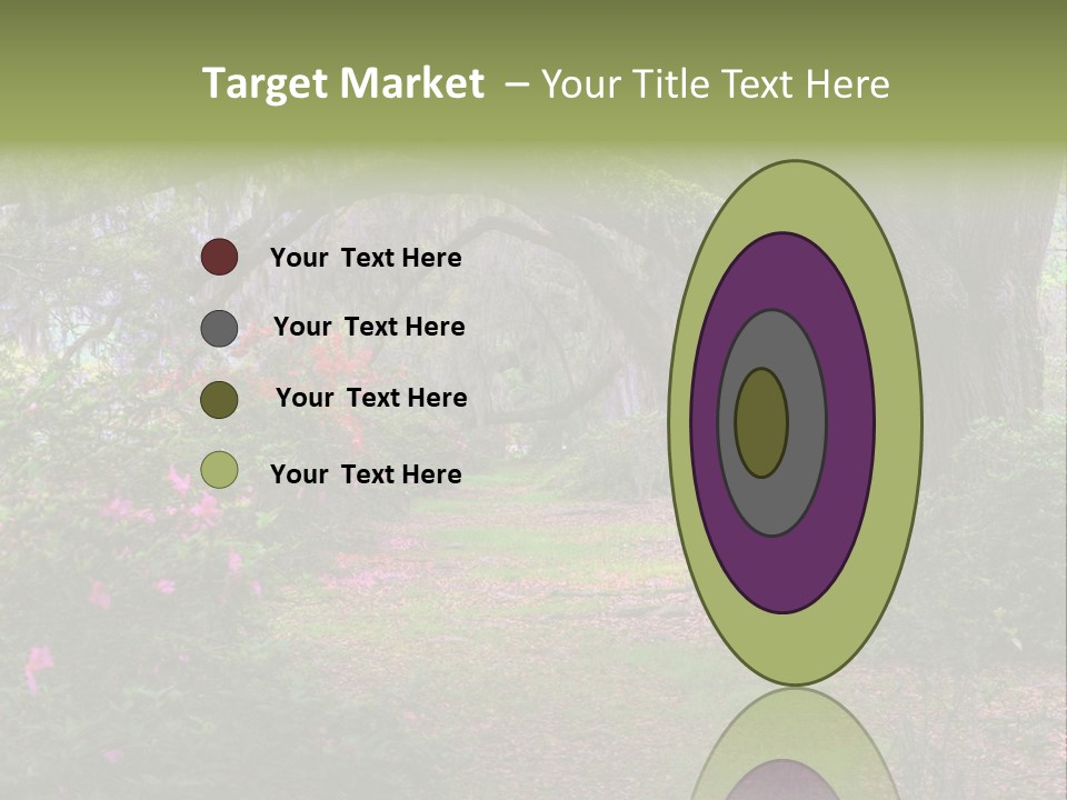 Spring Landscape Scene In Woods Of Charleston, South Carolina PowerPoint Template