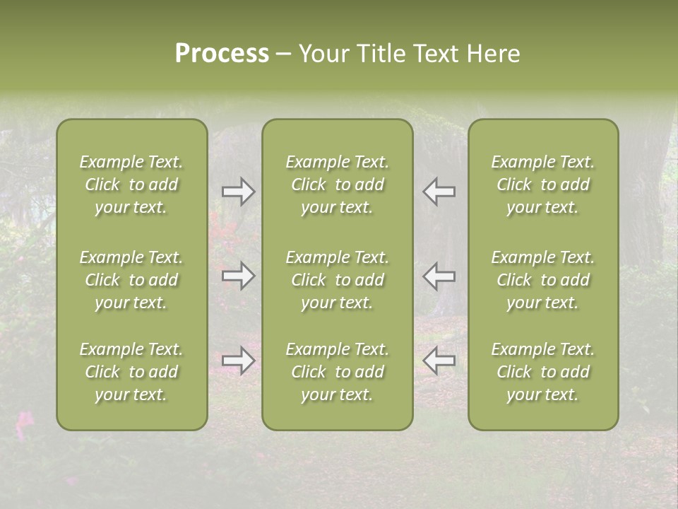 Spring Landscape Scene In Woods Of Charleston, South Carolina PowerPoint Template