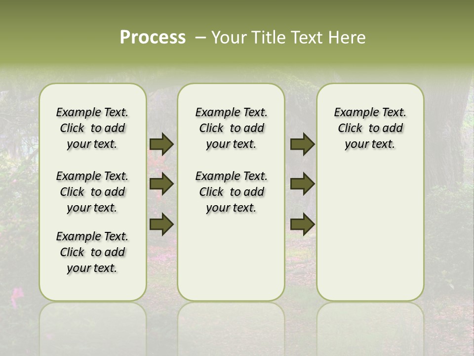 Spring Landscape Scene In Woods Of Charleston, South Carolina PowerPoint Template