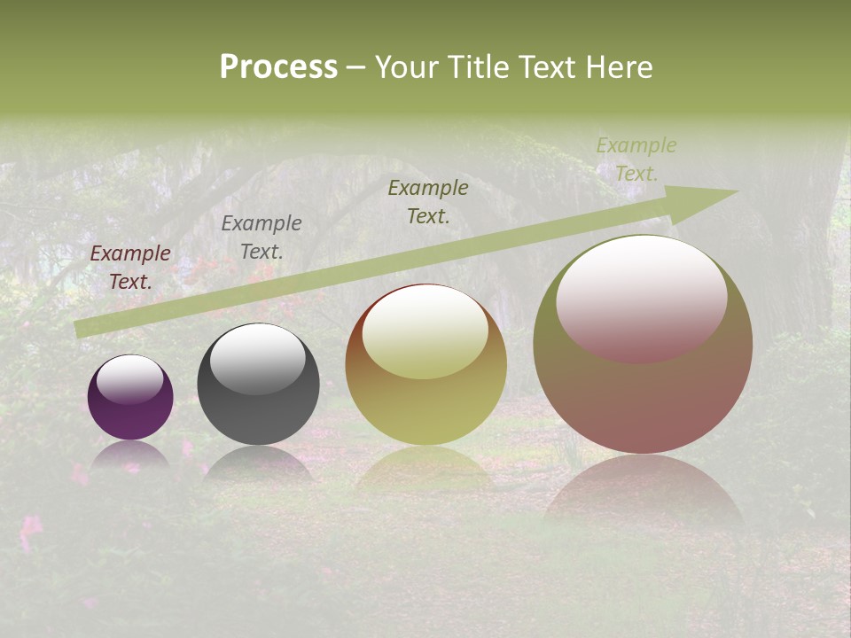 Spring Landscape Scene In Woods Of Charleston, South Carolina PowerPoint Template