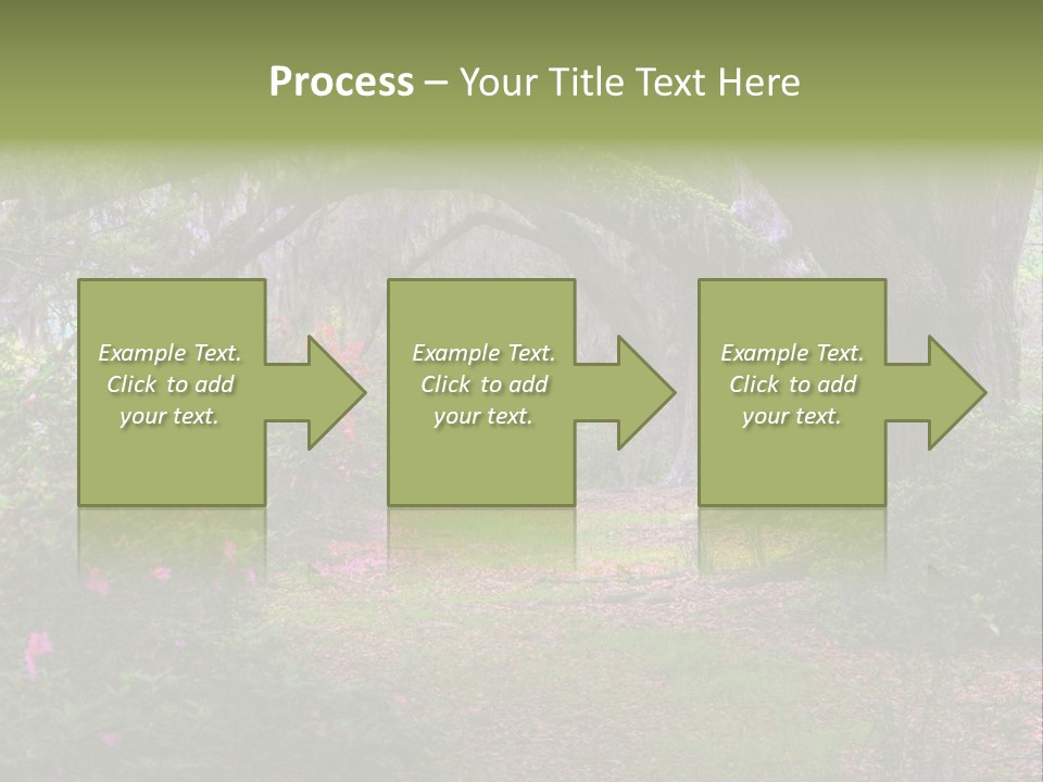 Spring Landscape Scene In Woods Of Charleston, South Carolina PowerPoint Template