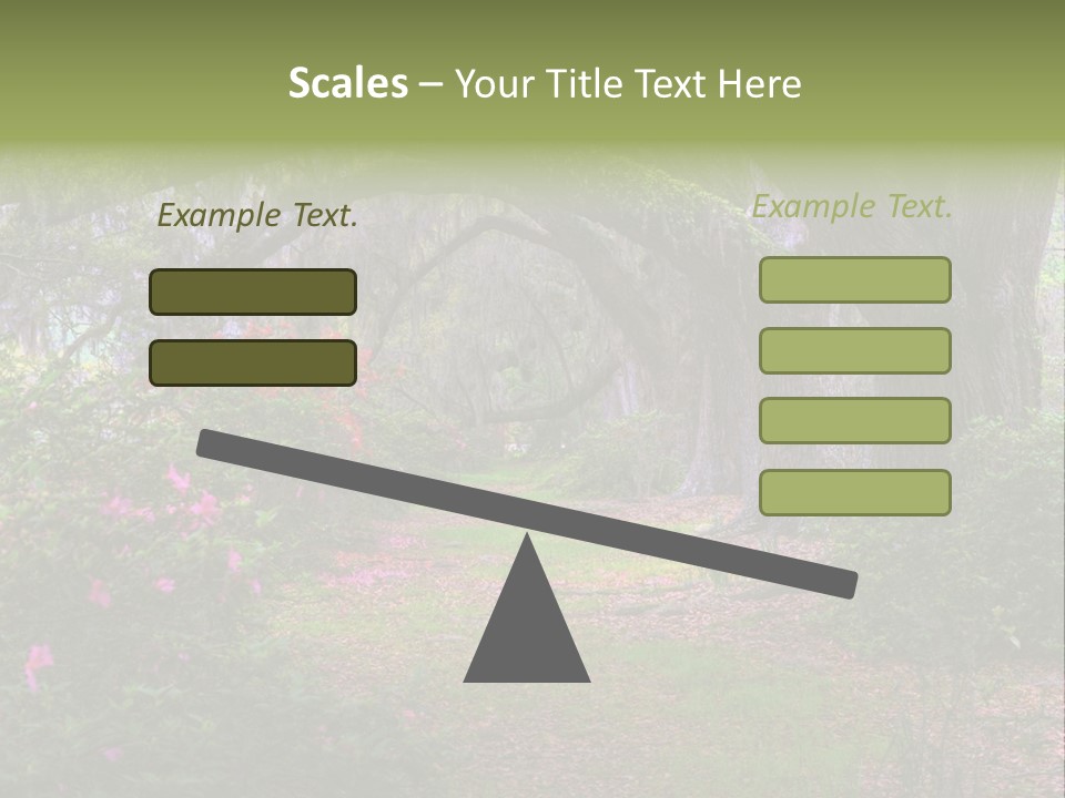 Spring Landscape Scene In Woods Of Charleston, South Carolina PowerPoint Template