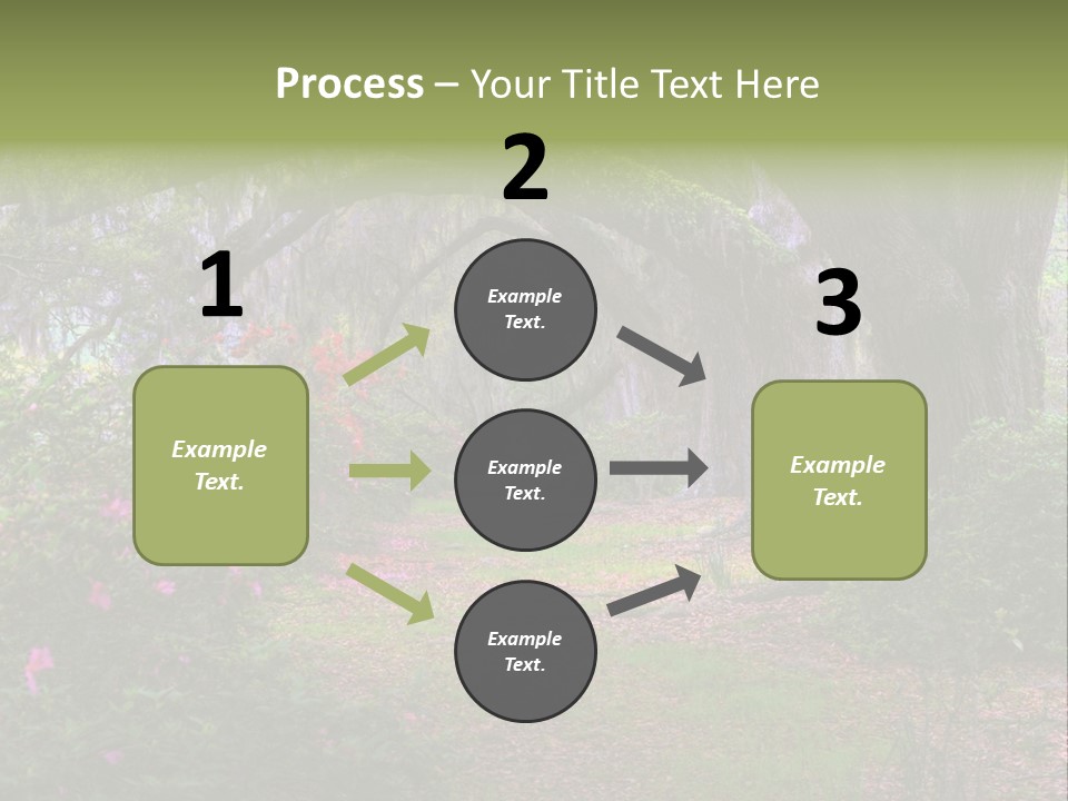 Spring Landscape Scene In Woods Of Charleston, South Carolina PowerPoint Template