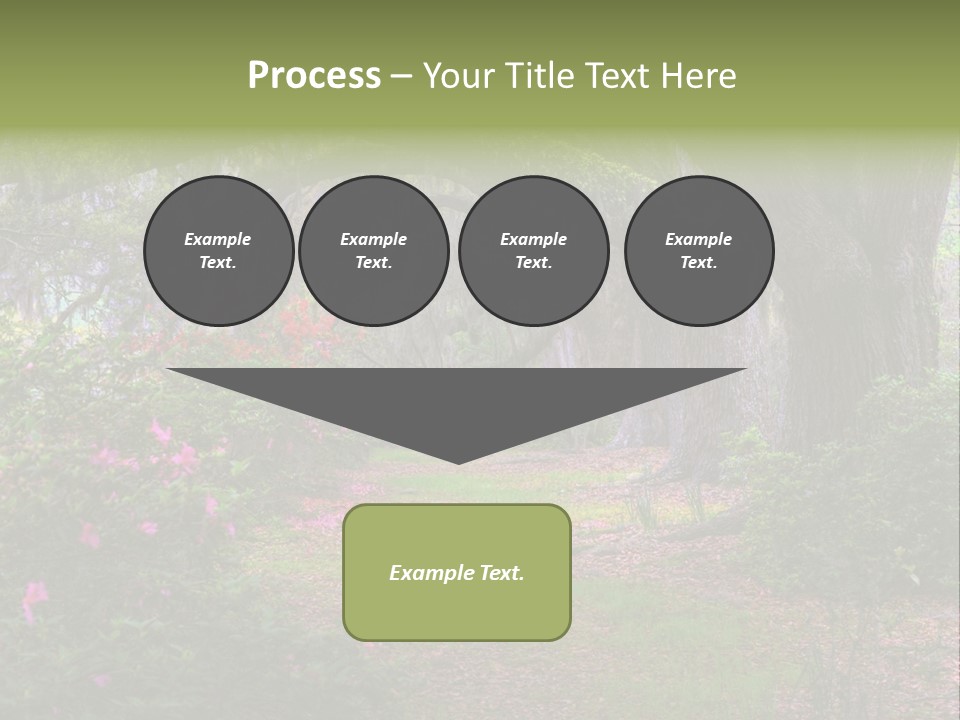 Spring Landscape Scene In Woods Of Charleston, South Carolina PowerPoint Template