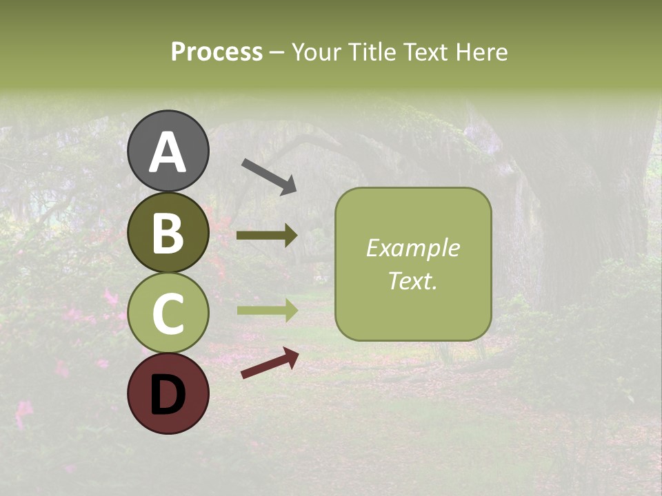 Spring Landscape Scene In Woods Of Charleston, South Carolina PowerPoint Template