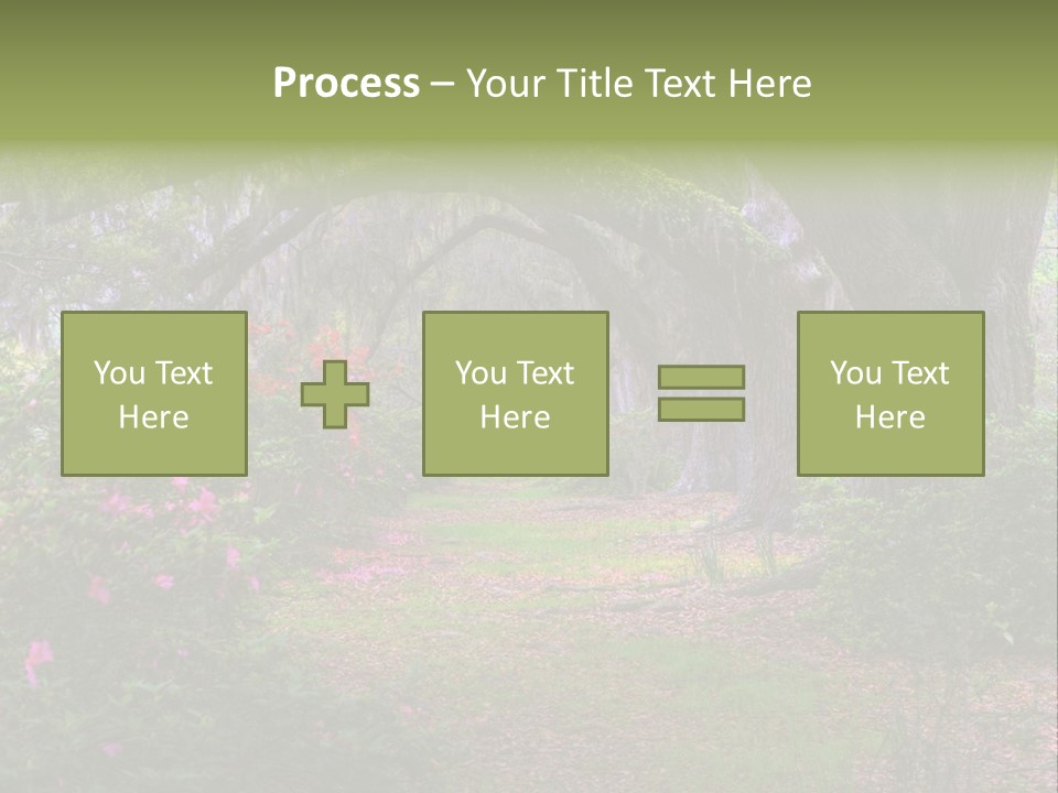 Spring Landscape Scene In Woods Of Charleston, South Carolina PowerPoint Template