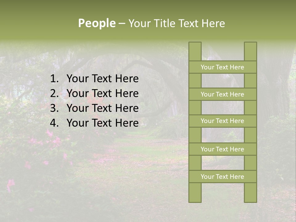 Spring Landscape Scene In Woods Of Charleston, South Carolina PowerPoint Template