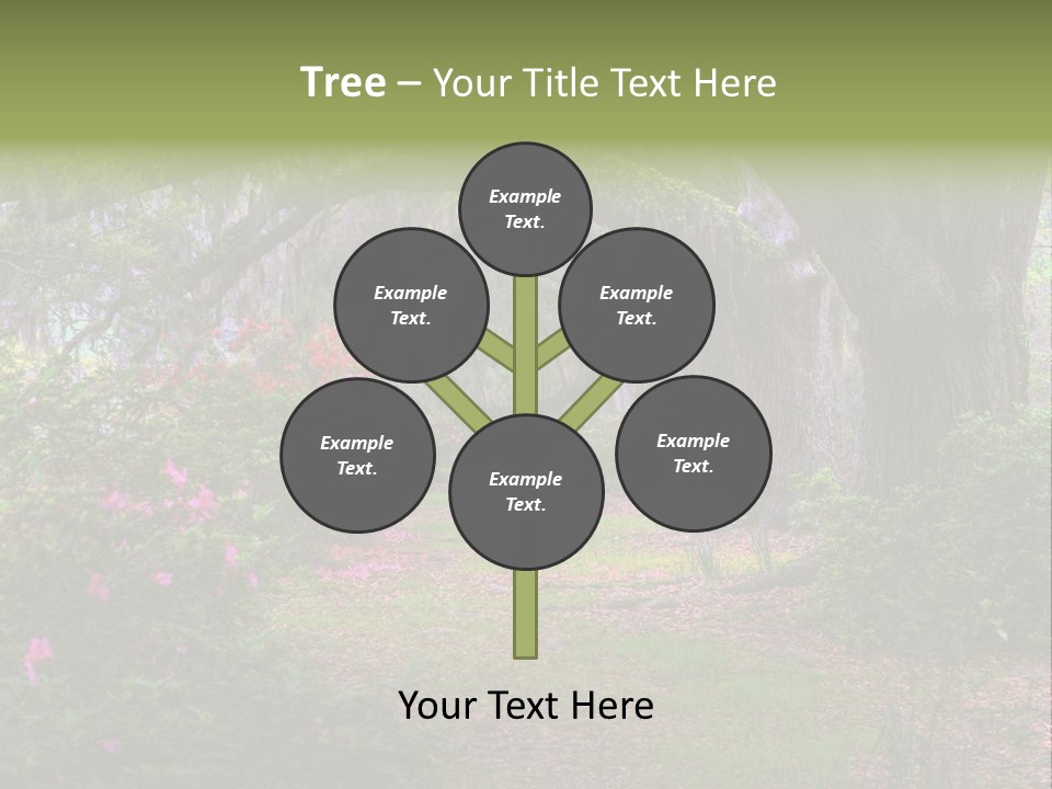 Spring Landscape Scene In Woods Of Charleston, South Carolina PowerPoint Template