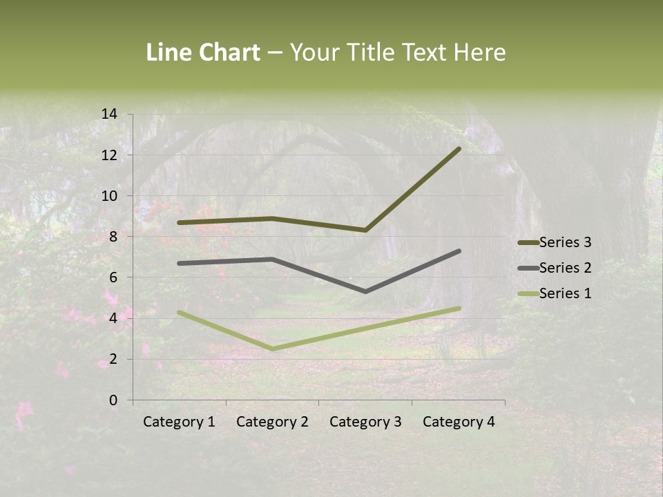 Spring Landscape Scene In Woods Of Charleston, South Carolina PowerPoint Template