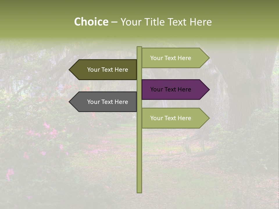 Spring Landscape Scene In Woods Of Charleston, South Carolina PowerPoint Template