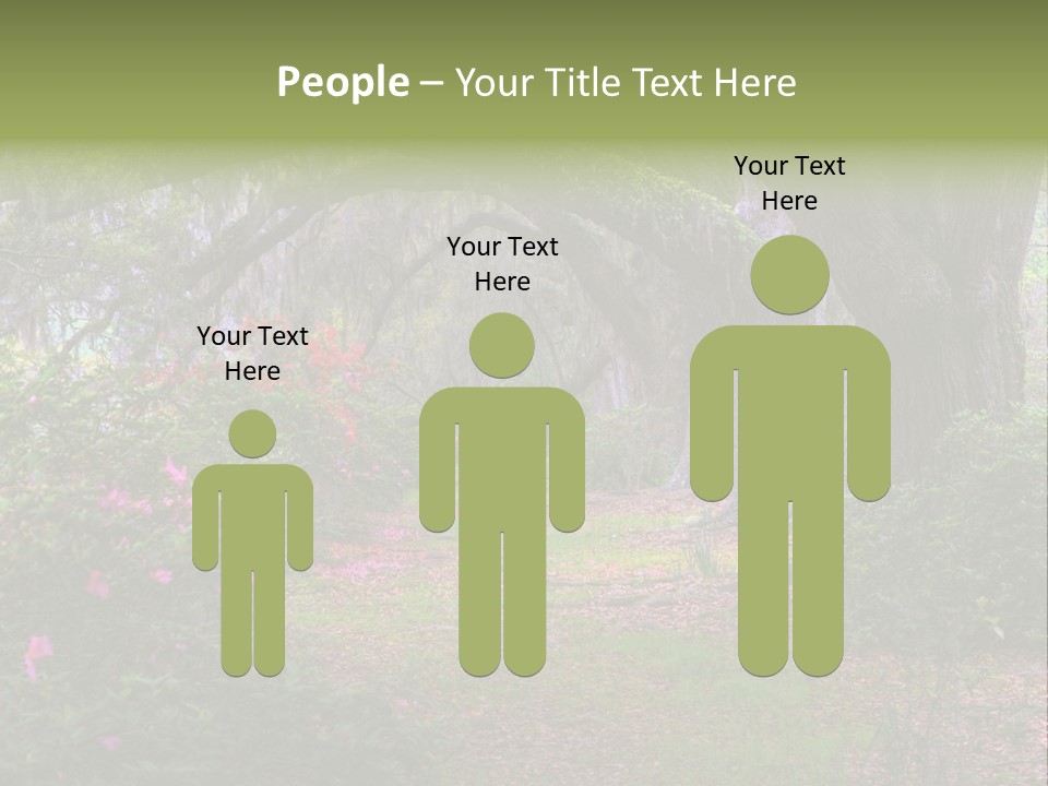 Spring Landscape Scene In Woods Of Charleston, South Carolina PowerPoint Template